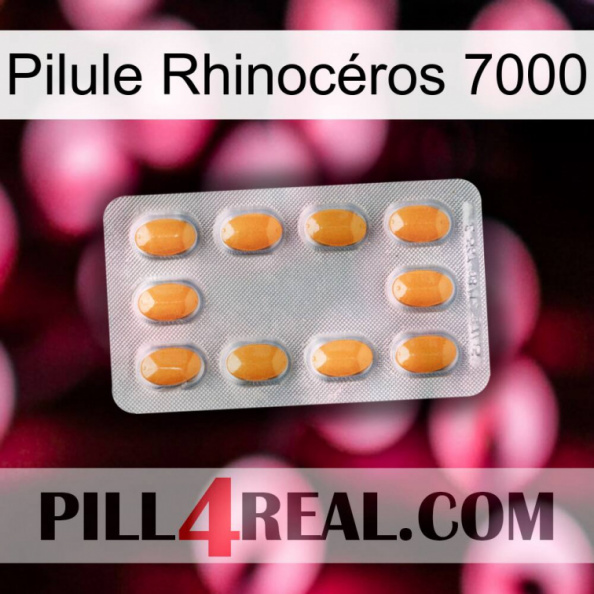 Pilule Rhinocéros 7000 cialis3